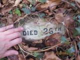 image of grave number 366113